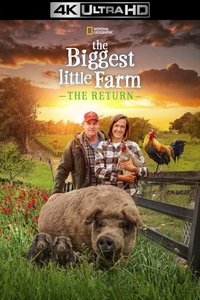Poster 4