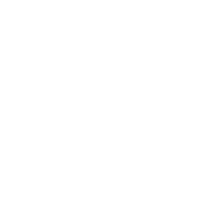Logo 13