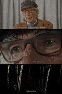 Poster for Despite The Facts