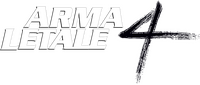 Logo 13