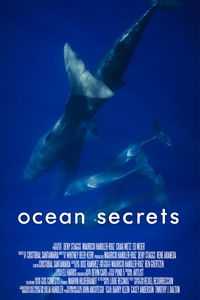 Poster for Ocean Secrets