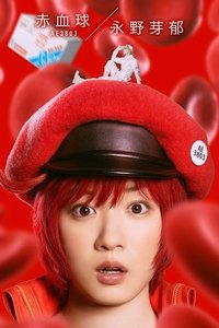 Poster 13