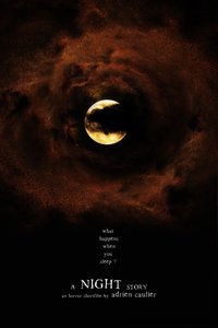 Poster for A Night Story