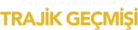 Logo 8
