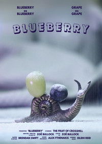 Poster for Blueberry