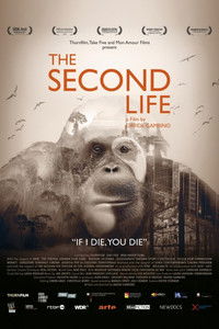 Poster for The Second Life