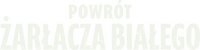 Logo 11