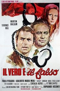 Poster 7