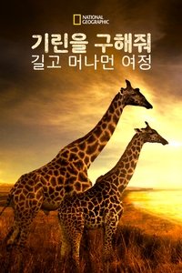 Poster 4
