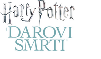 Logo 40