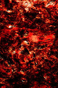 Poster for Neither Buddha Nor God