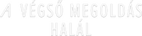 Logo 11