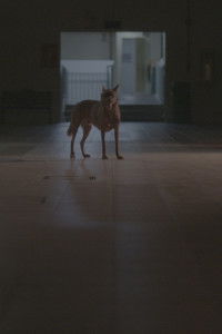 Poster for Mei Ling Street