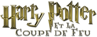 Logo 21