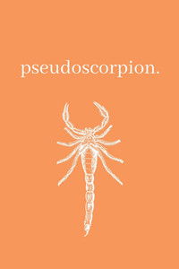Pseudoscorpion