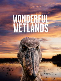 Wonderful Wetlands