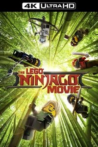 Poster 60