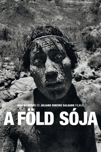 Poster 6