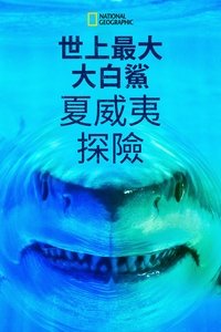 Poster 15