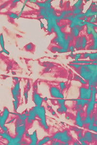 Poster for Compendium