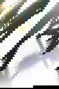 Poster 7