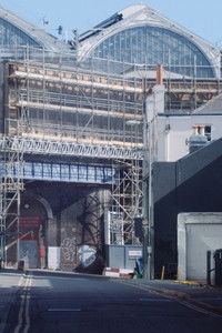 Poster for A Spring in Endless Bloom