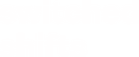 Logo 9