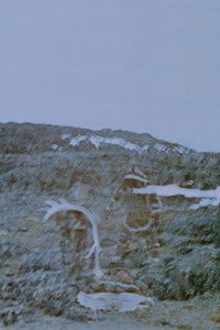 Poster for Magic Man