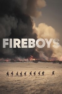 Poster 3