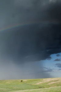 Poster for Protect Your Home (Interpret It Well)