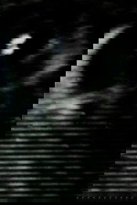 Poster for Scusate il disturbo