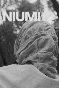 Poster for Niumi