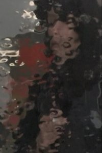 Poster for Akira Tsuboi Documents