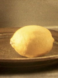 Poster for Still Light