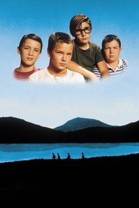 Poster 13