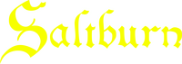 Logo 9