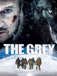 Poster 28
