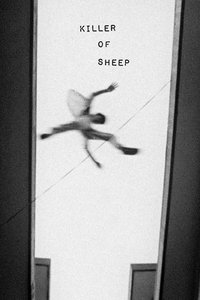 Poster 12