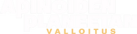 Logo 9