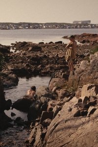 Poster for Dropstones