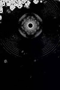 Chiasm of Lament III