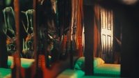 Backdrop 0