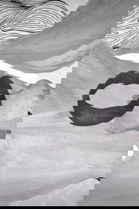 Meshes