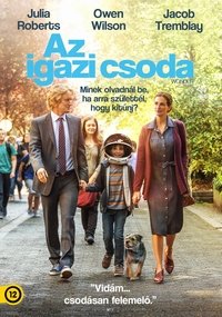 Poster 96