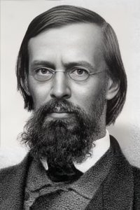 Profile of Apollon Maykov