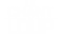 Logo 17