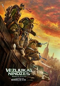 Poster 113