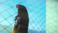 Episodio 9