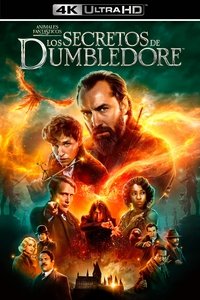 Poster 48