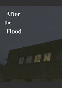 Poster for After the Flood